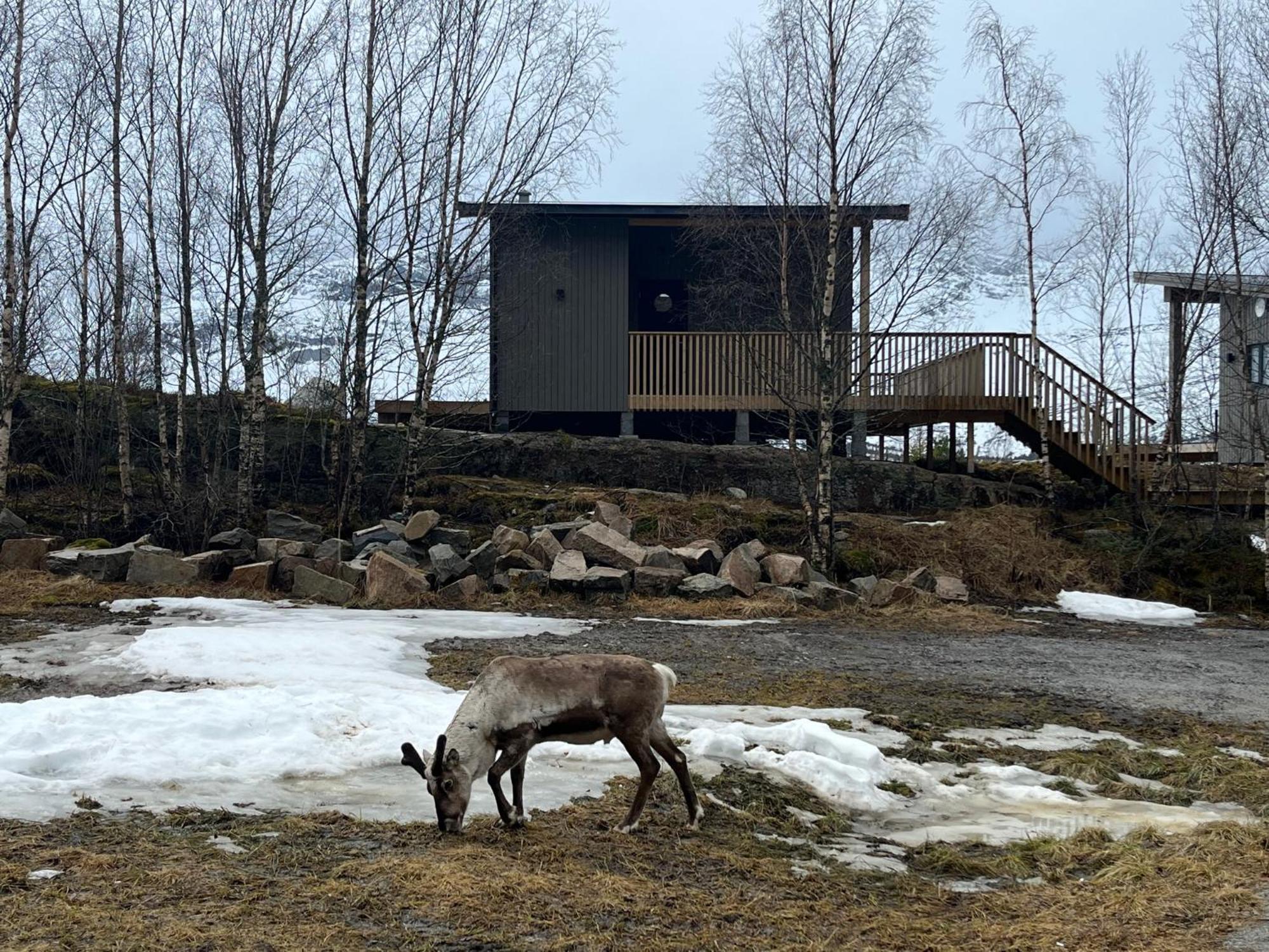 Efjord And Stetind Resort - Cabin Kobbernestinden Ballangen 외부 사진