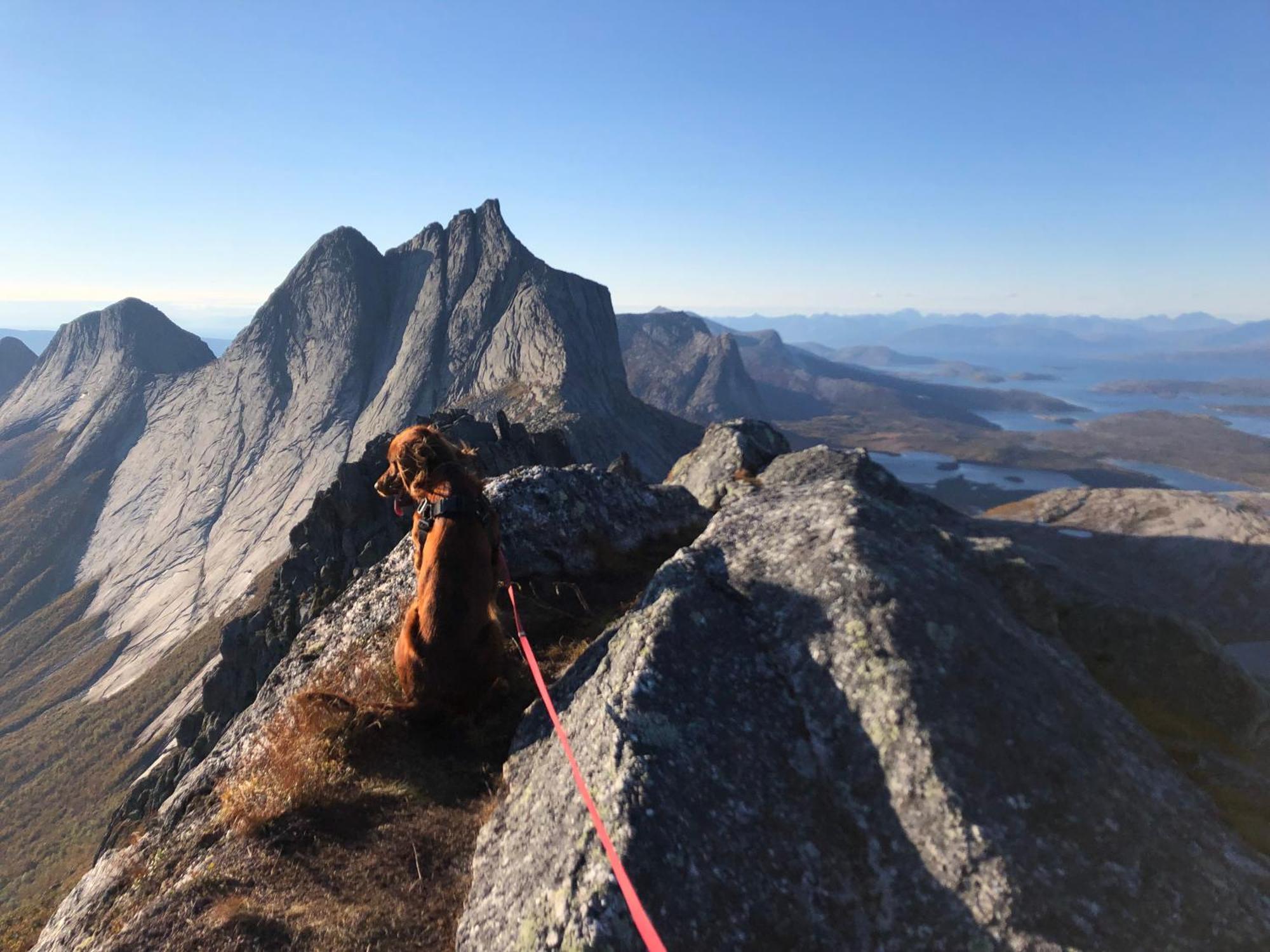 Efjord And Stetind Resort - Cabin Kobbernestinden Ballangen 외부 사진