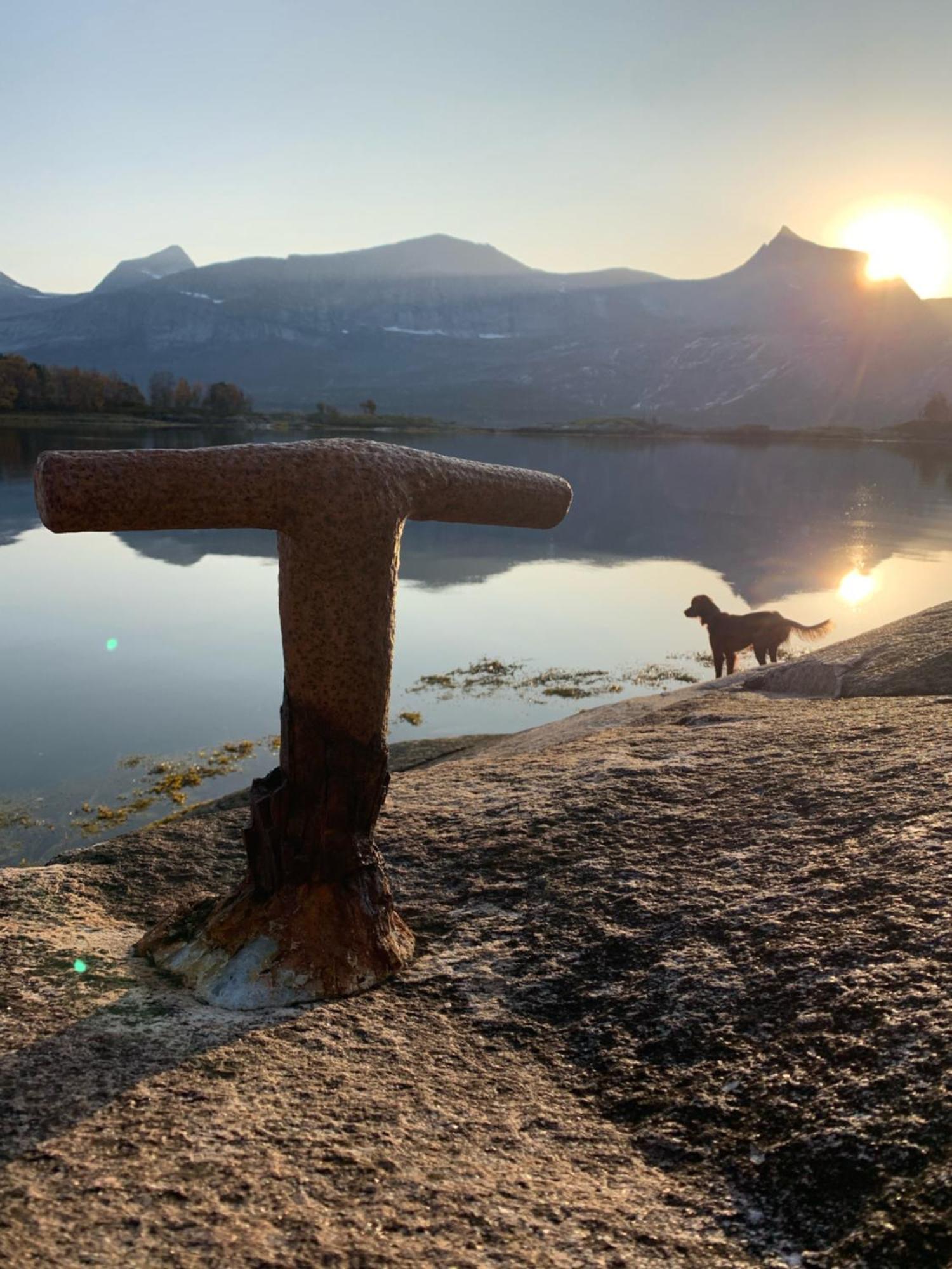 Efjord And Stetind Resort - Cabin Kobbernestinden Ballangen 외부 사진